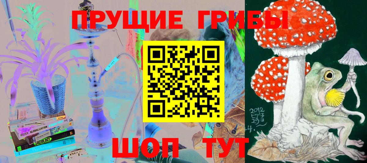 Галлюциногенные грибы мухоморы Великий Устюг