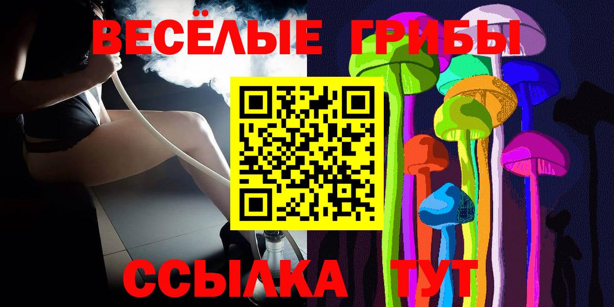 Великий Устюг  Псилоцибиновые грибы MAGIC MUSHROOMS  Вход с VPN 